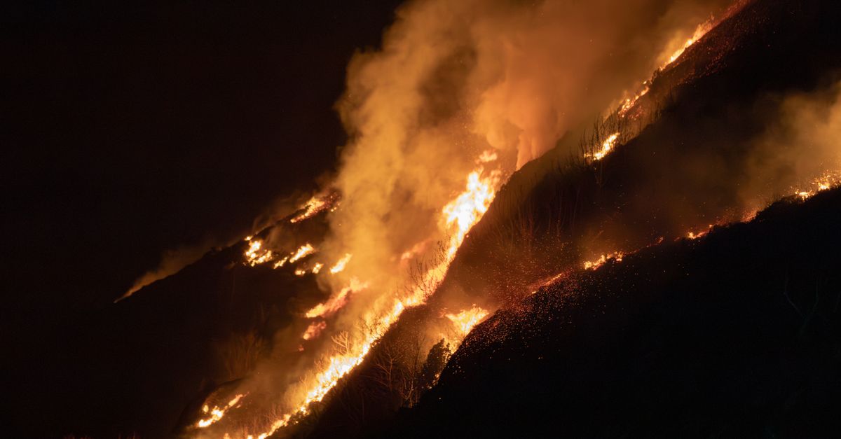 California Sets Precedent with Wildfire Home Re-entry Standards
