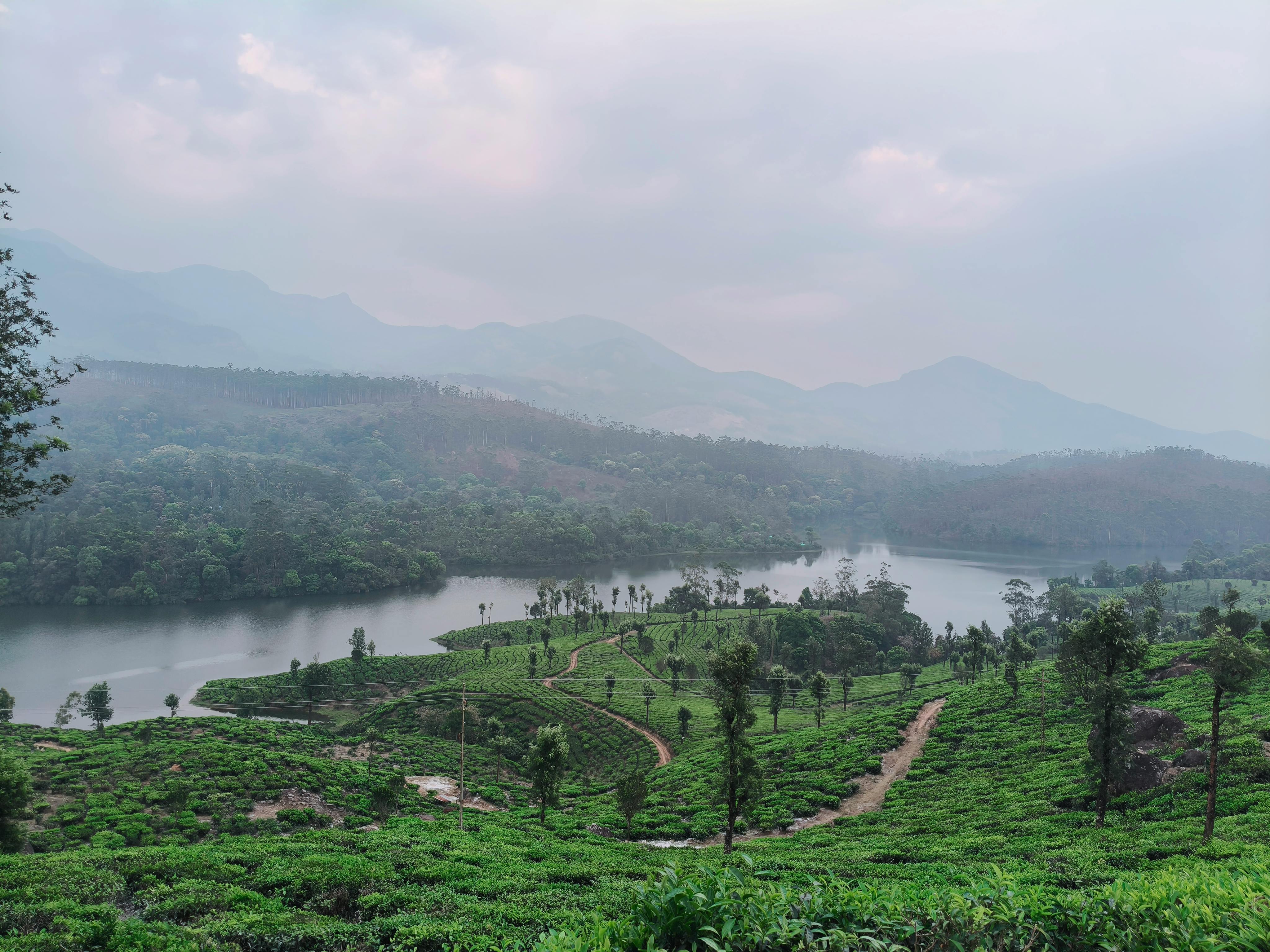 general education department kerala — Photo by Harini Padmarajan on Pexels
