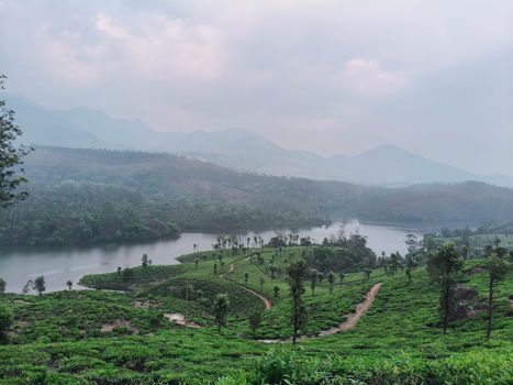 A breathtaking landscape of tea plantations overlooking a serene lake in Munnar, Kerala, India.