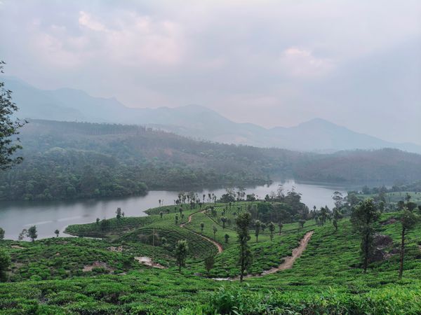Kerala Delight - Stays