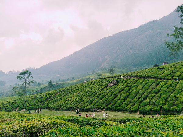 Explore Kerala - Stays