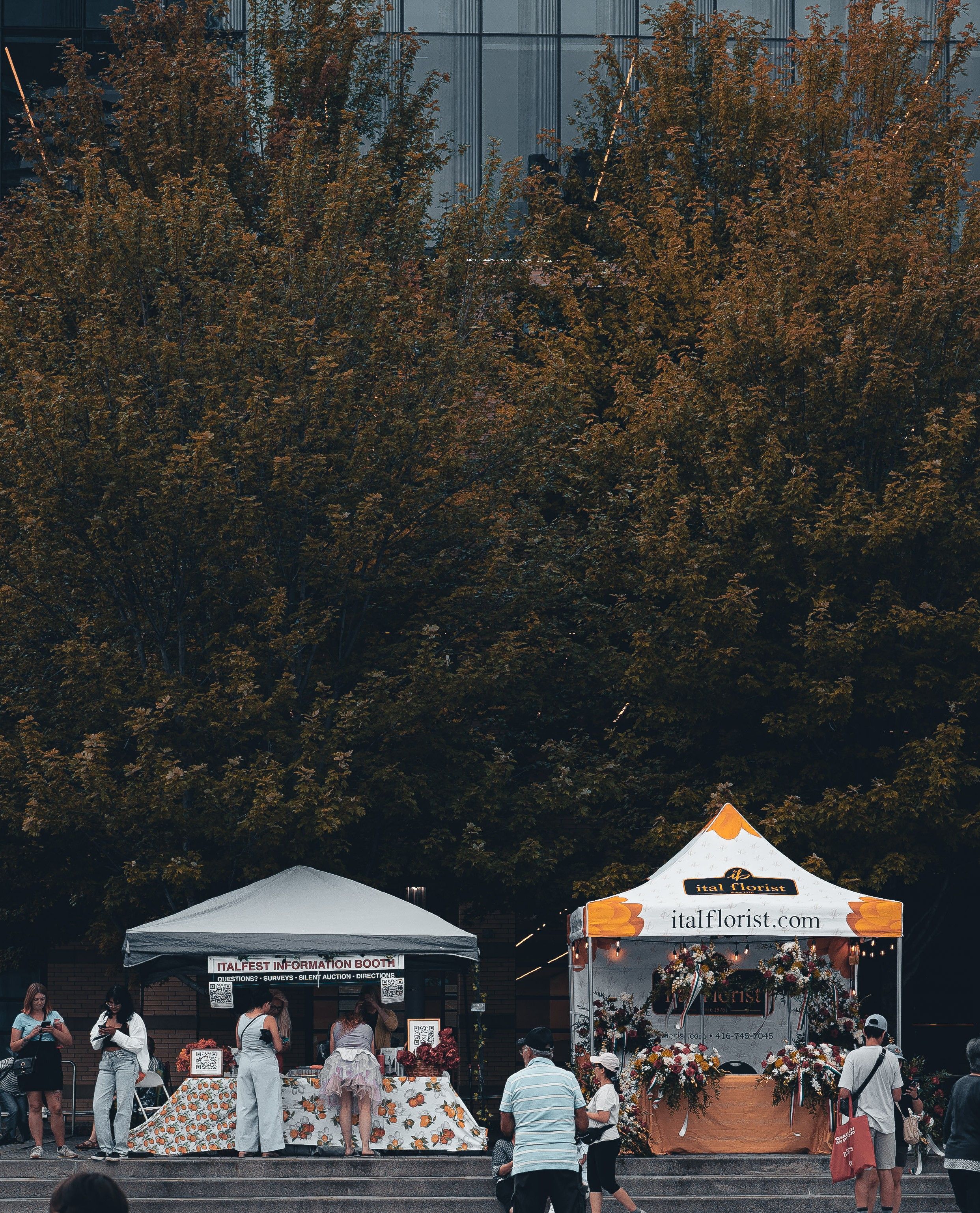 Community Festival in Mississauga with Market Stalls · Free Stock Photo