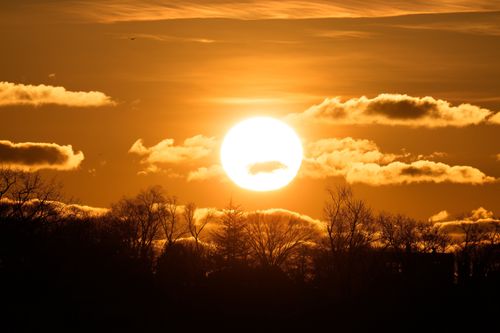 Free A dramatic sunrise over Stamford, Connecticut, with vivid orange skies and silhouetted trees. Stock Photo