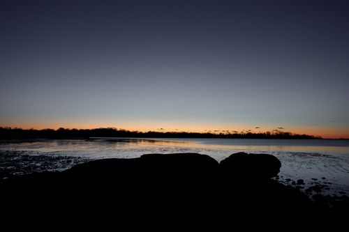 Free Beautiful sunrise over low tide at Cove Island Park in Stamford, CT. Stock Photo