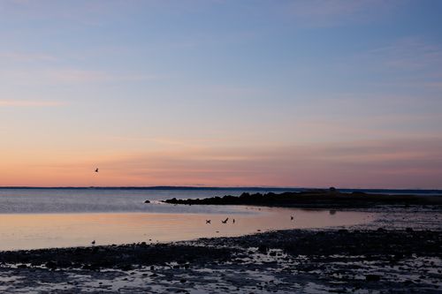 Free Tranquil sunrise at Cove Island Park with calm waters and soft pastel skies in Stamford, Connecticut. Stock Photo