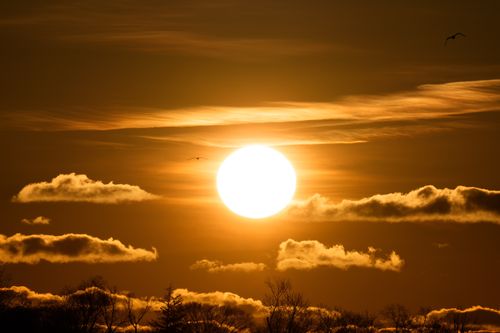 Free Beautiful sunrise with vibrant colors over Stamford, Connecticut, casting silhouettes over trees and low clouds. Stock Photo
