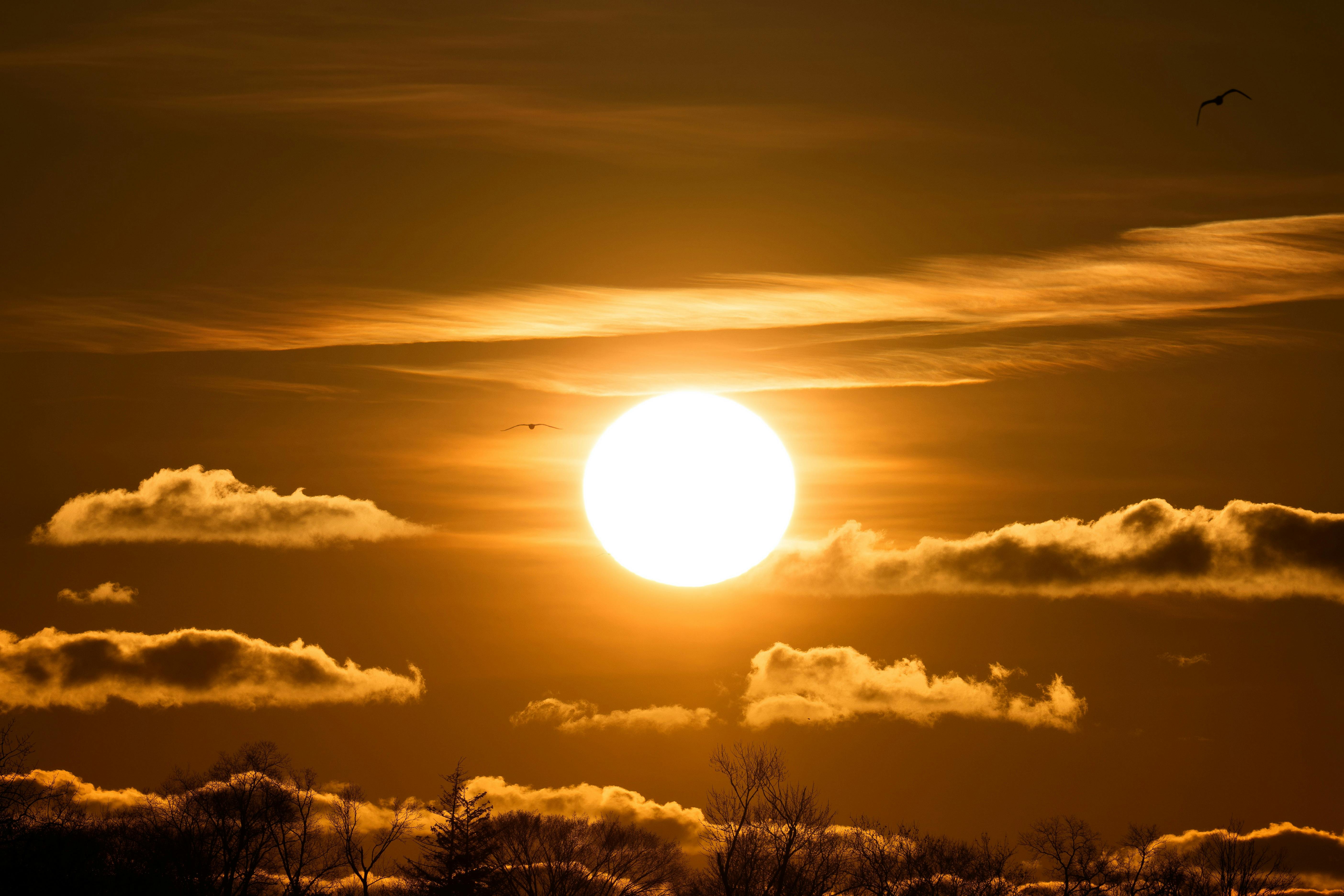 Zadarmo Krásny východ slnka so žiarivými farbami nad Stamfordom v štáte Connecticut, ktorý vrhá siluety na stromy a nízke oblaky. Fotka z fotobanky