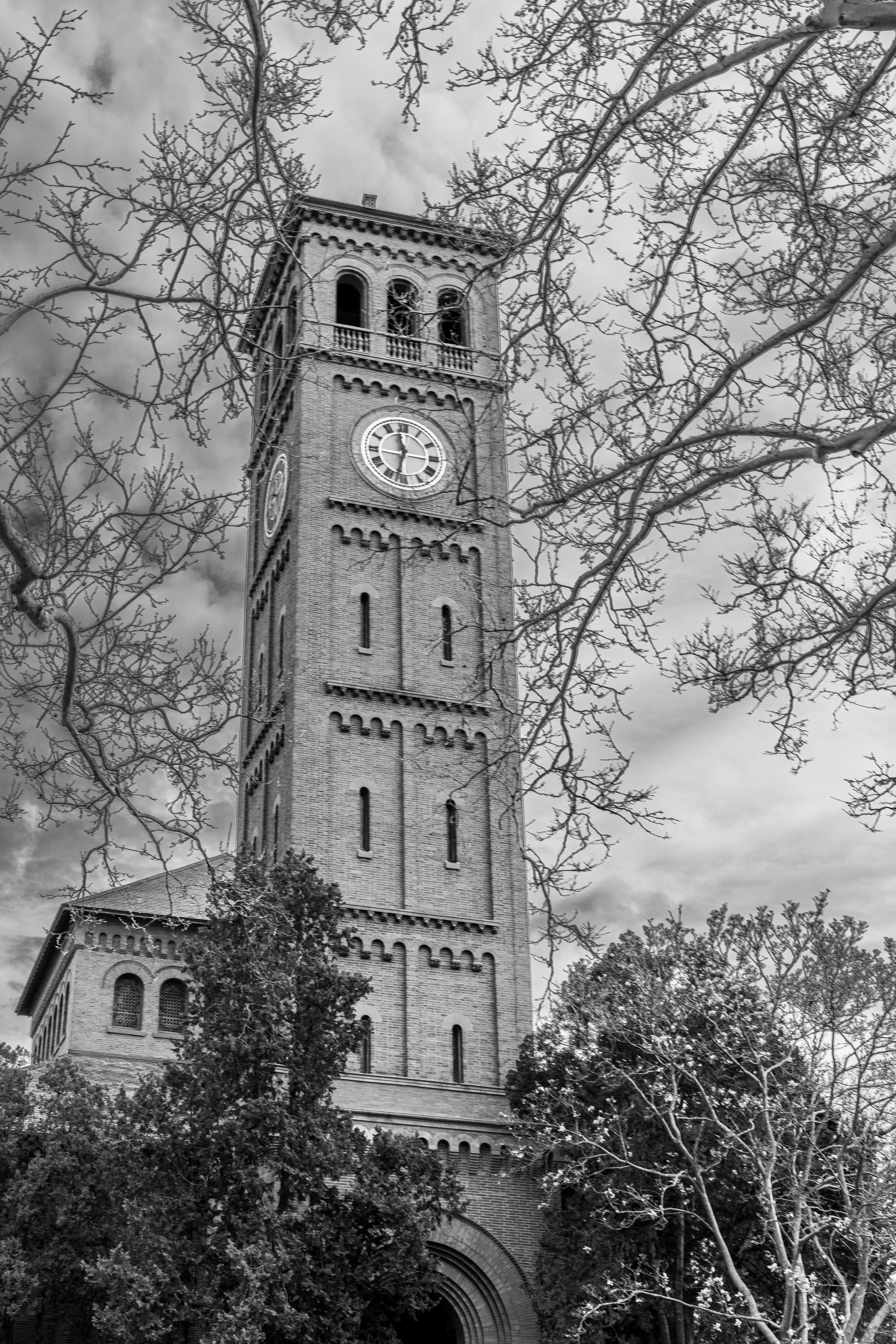 Historic Clock Tower in Black and White · Free Stock Photo