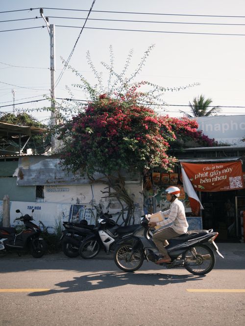 Free A man rides a motorbike past flowering trees and a shop on a sunny street. Stock Photo