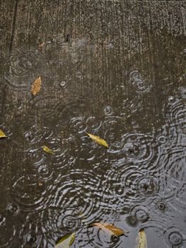 Raindrops create ripples on a concrete sidewalk with scattered autumn leaves.