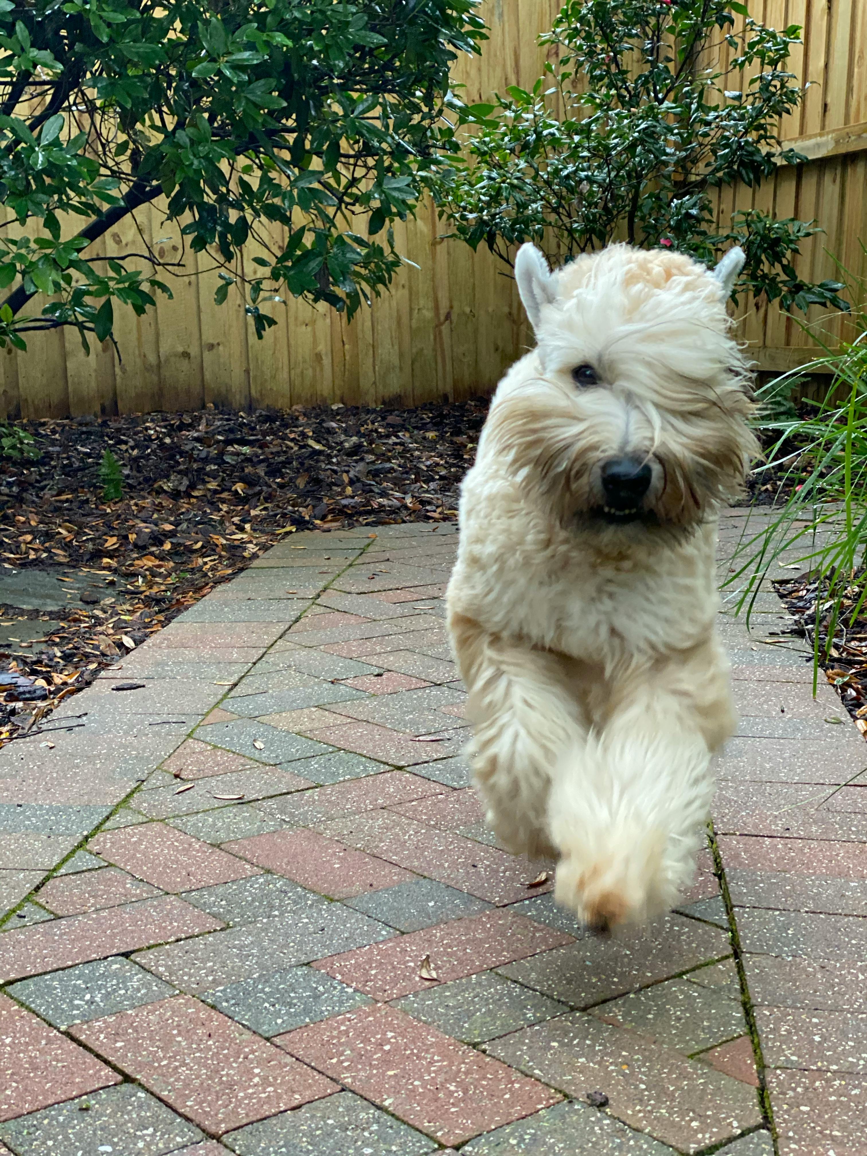 ICI Kit Success Stories: Real Families, Real Results (2026)