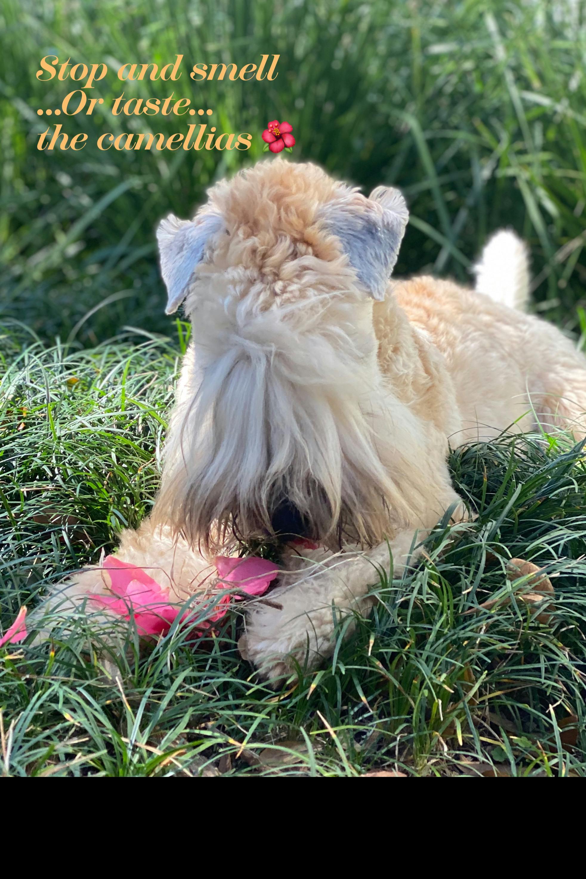 First-Time ICI Kit Guide: Everything You Need to Know