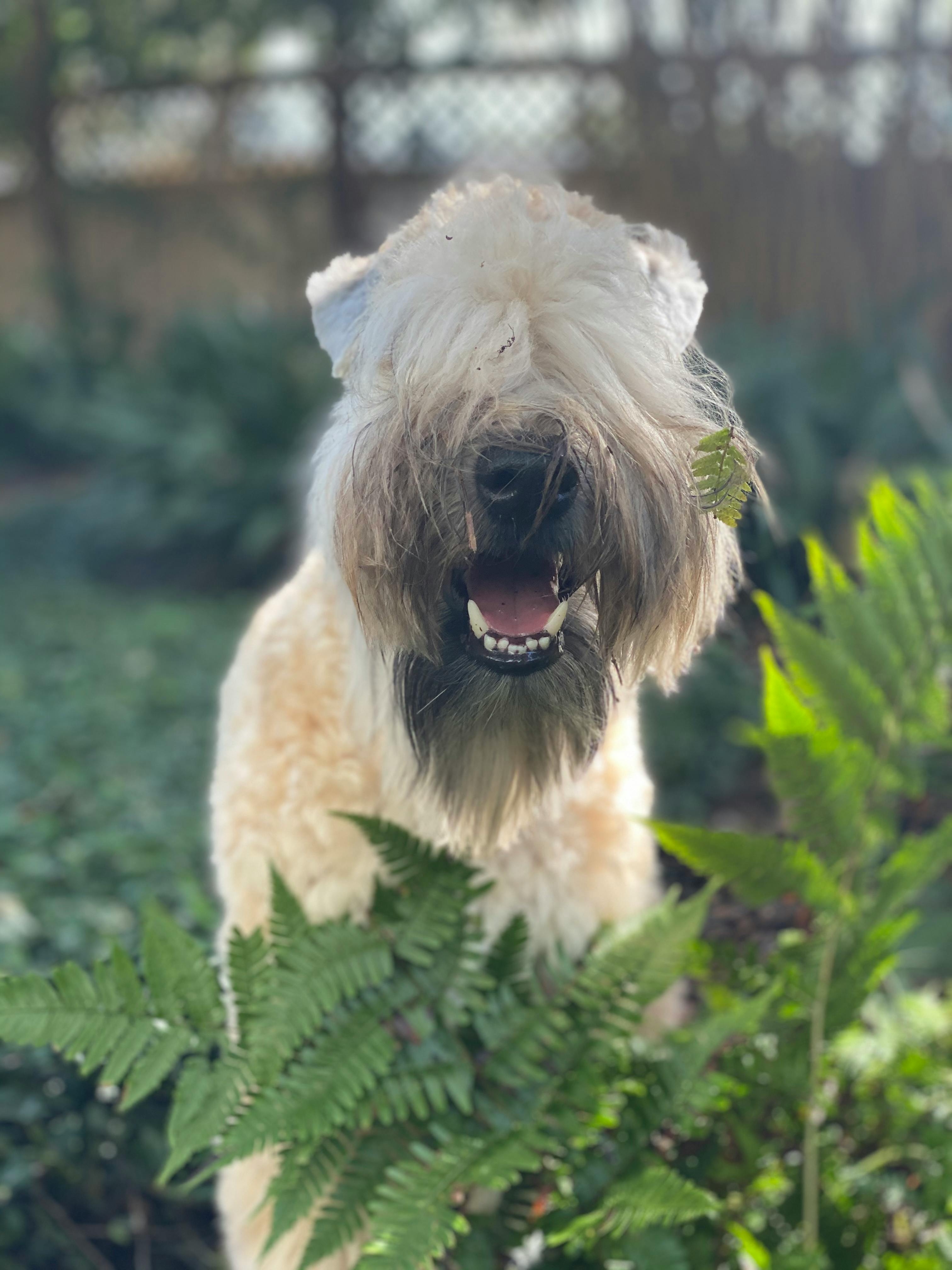 ICI Kit Troubleshooting: Common Problems and Solutions