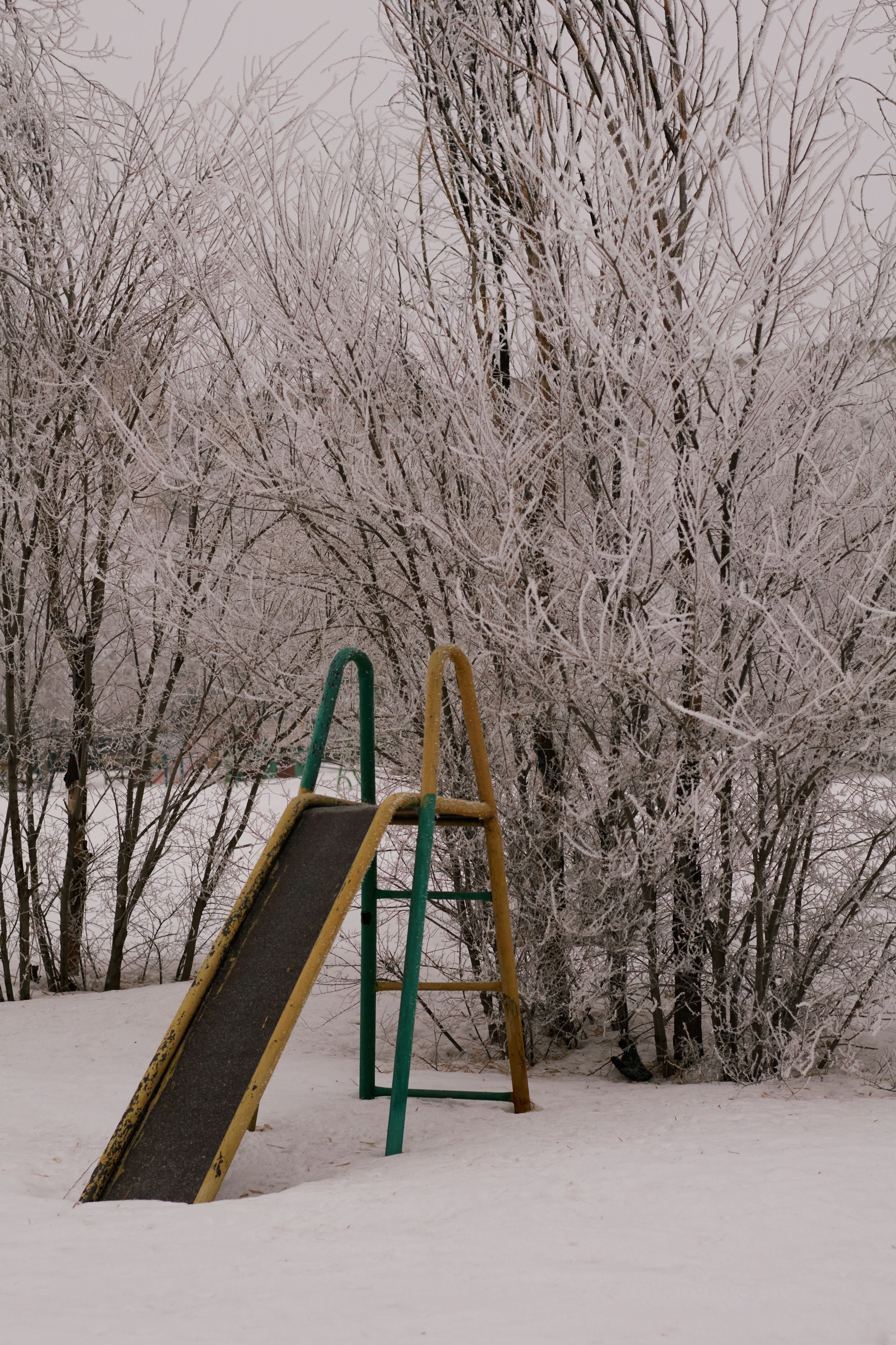 Winter Playground Slide Amidst Frosty Trees · Free Stock Photo