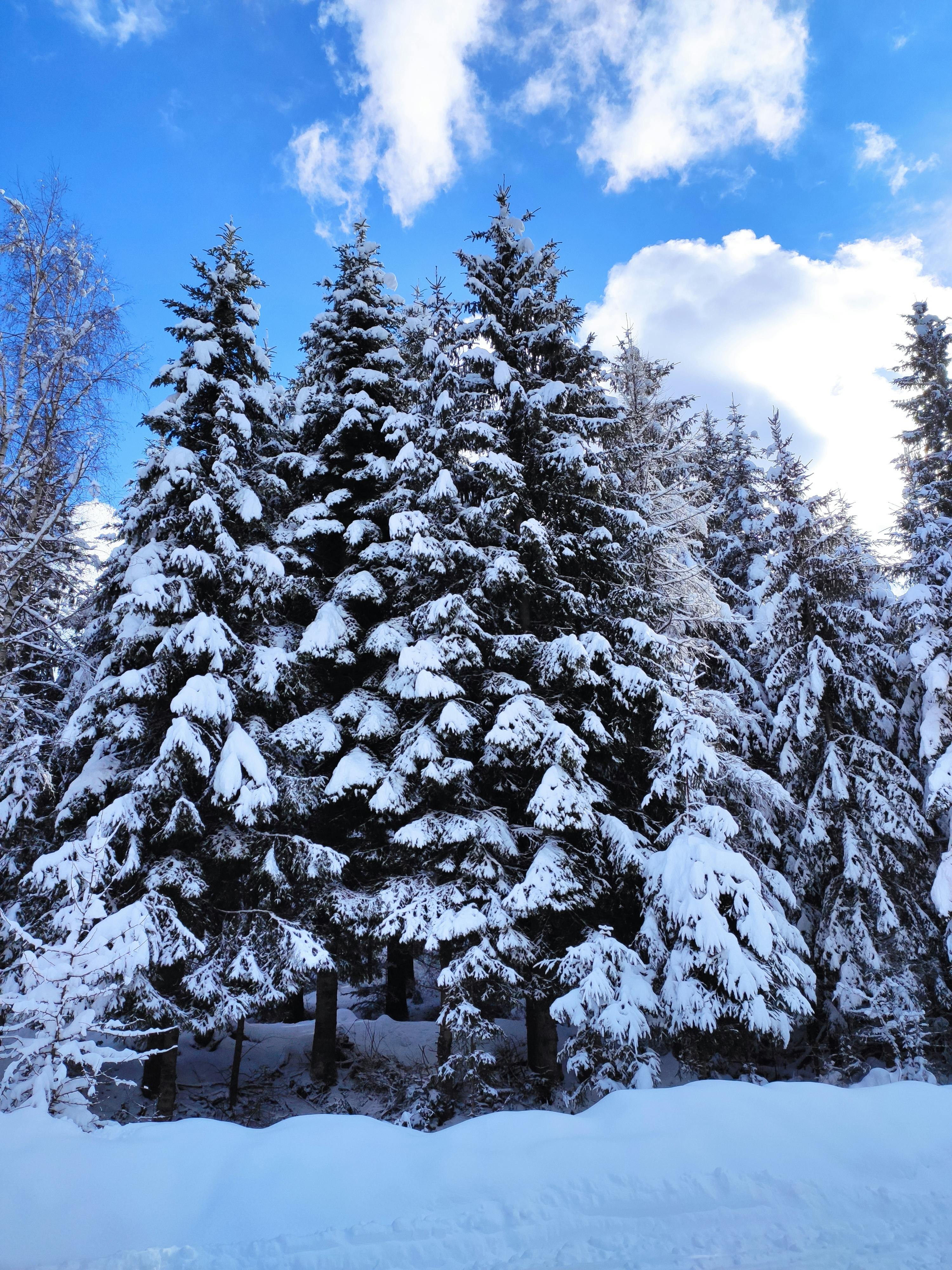 Безкоштовне стокове фото на тему «@outdoor, sarajevo, атмосфера» стокове фото