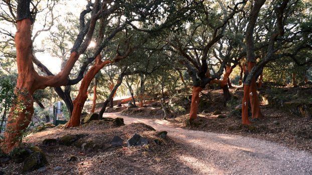 Monchique mountain spa day — Algarve