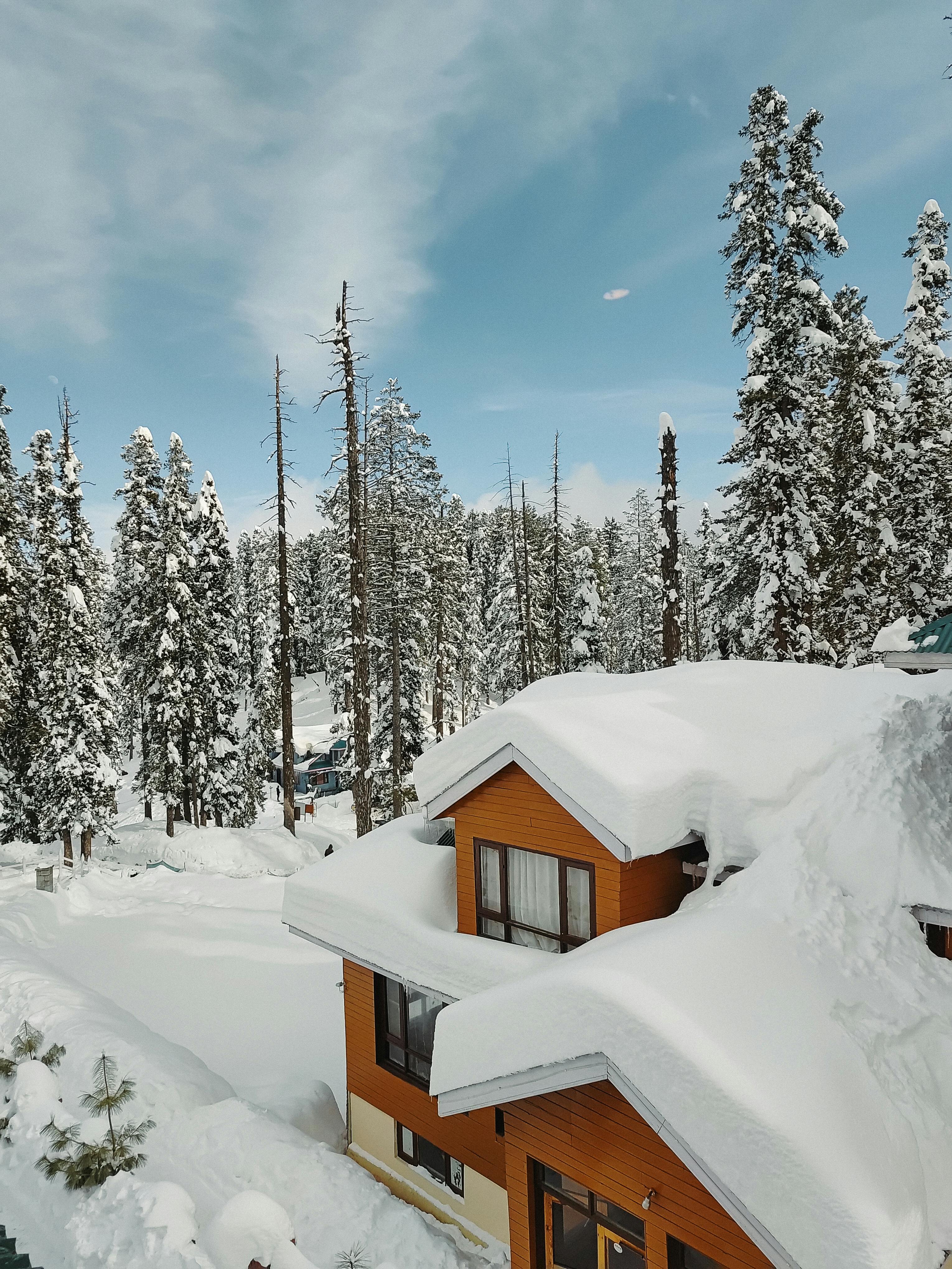 免費 迷人的雪景小屋坐落在古爾馬爾格的冬日美景中，周圍環繞著高大的松樹。 圖庫相片