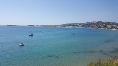 Family connection story