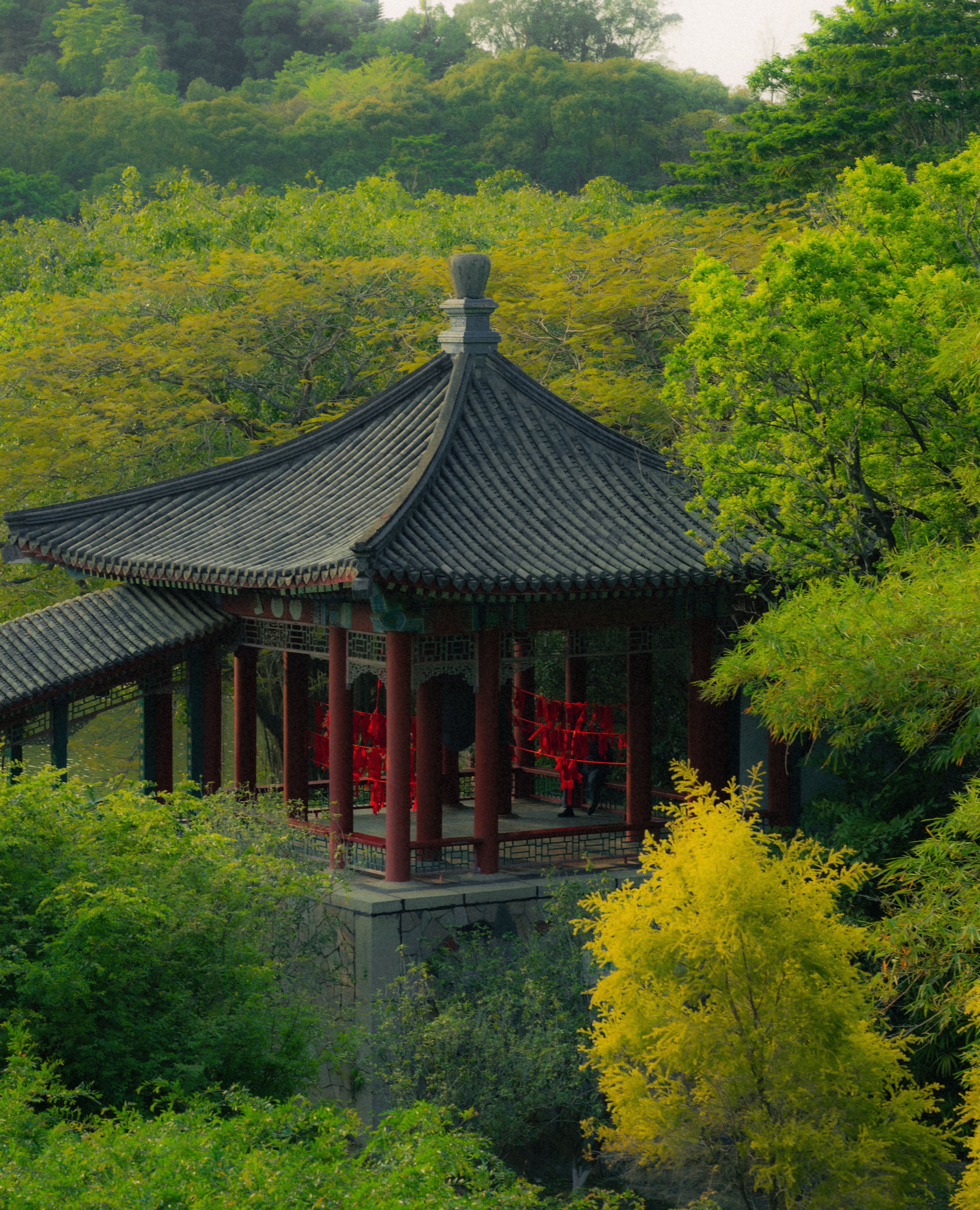 Traditional Chinese Pavilion in Lush Greenery · Free Stock Photo