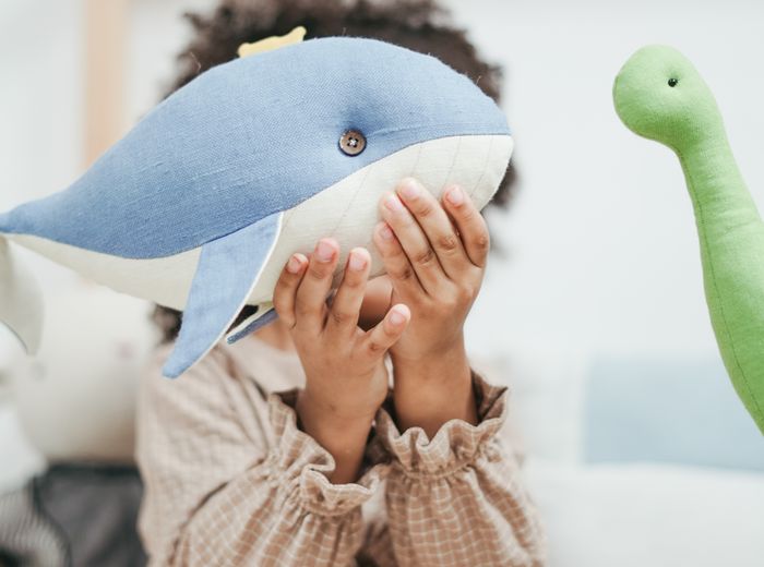 Signature species plush range for an aquarium