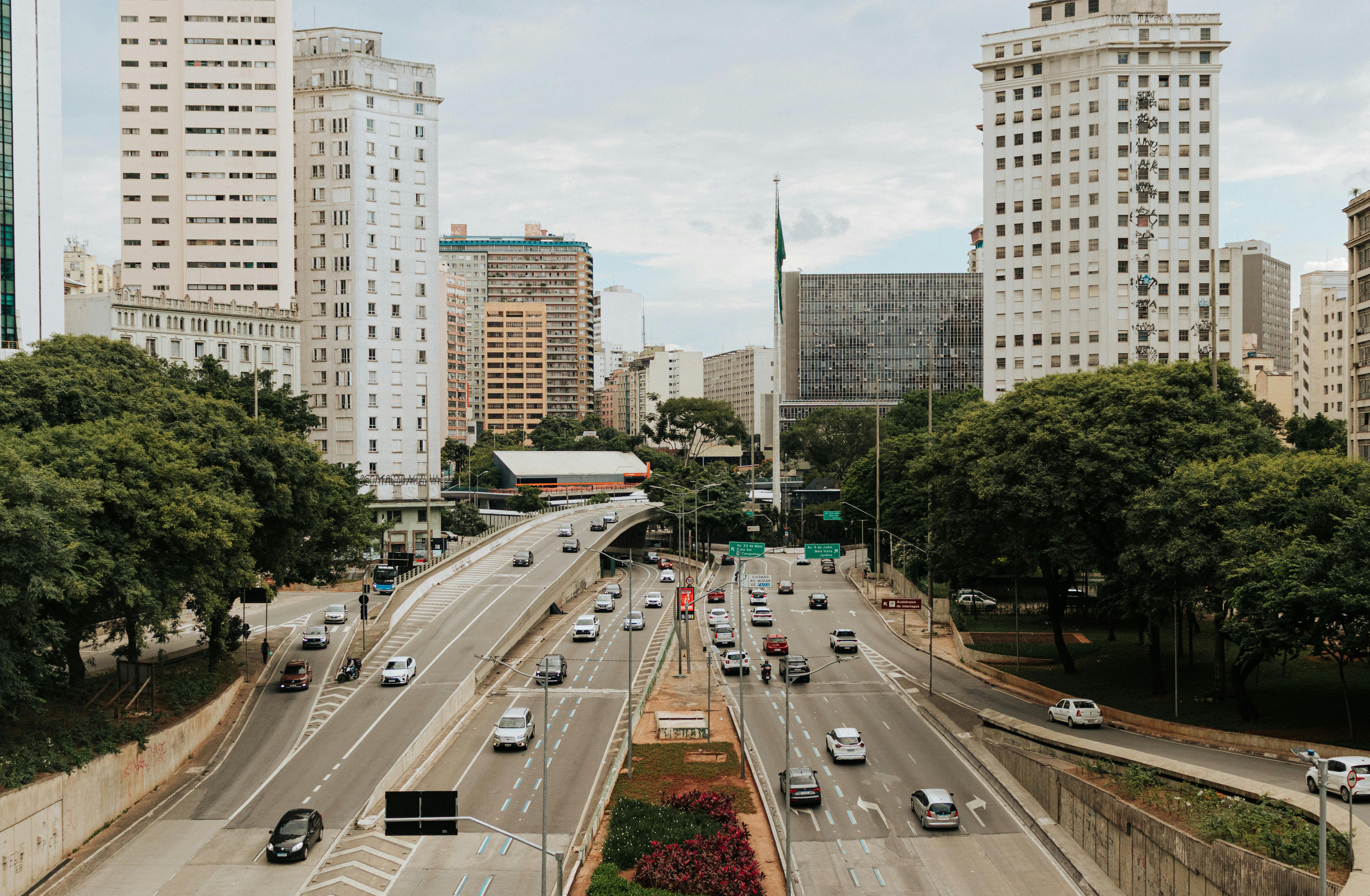 civic life examples civic life definition — Photo by Gabriela Brasiliano on Pexels