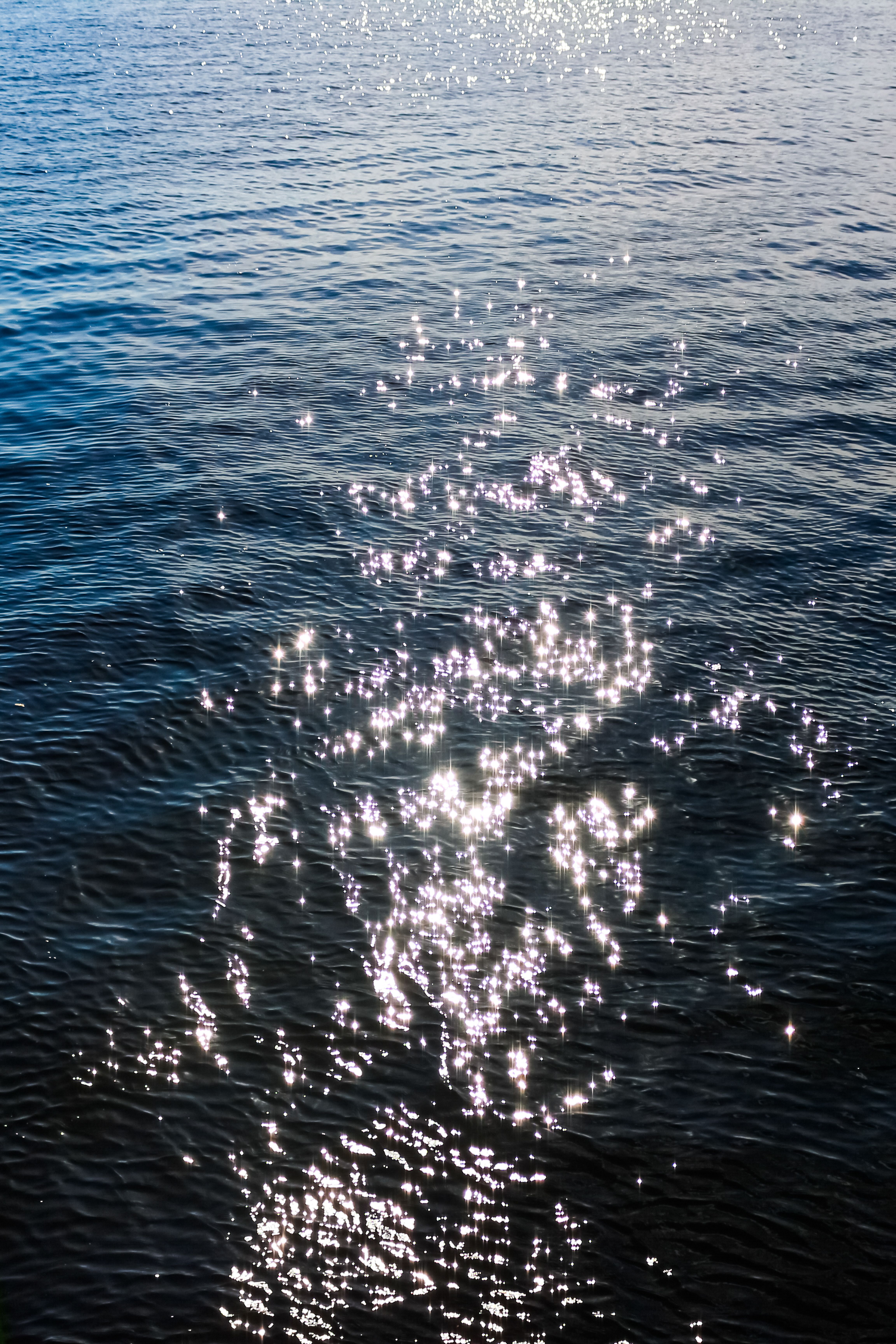 Sunlight Sparkling on Rio Negro Waters · Free Stock Photo
