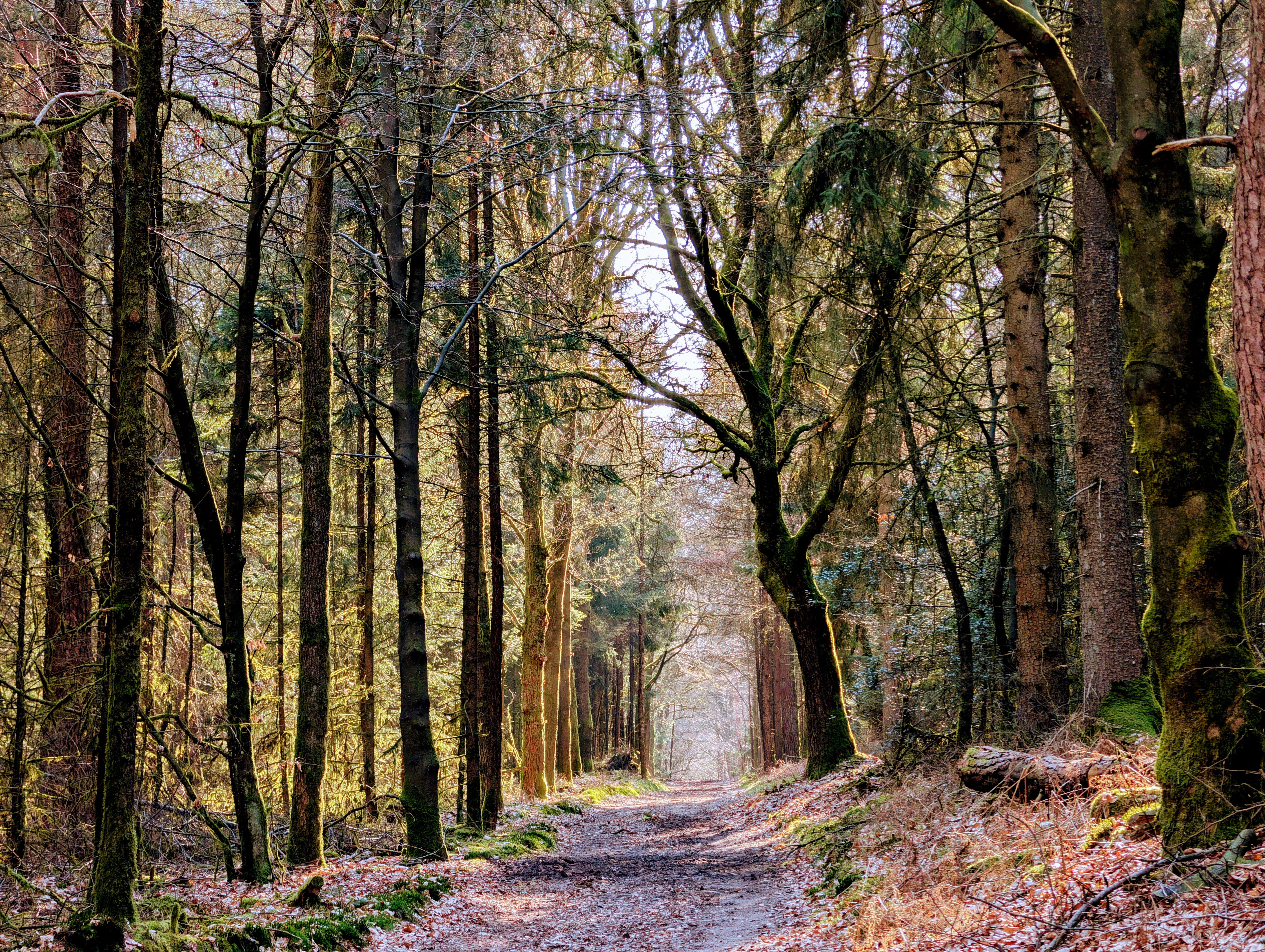 Wanderurlaub Kosten 2026 – Preise, Schwierigkeitsgrade & Angebote zum Buchen