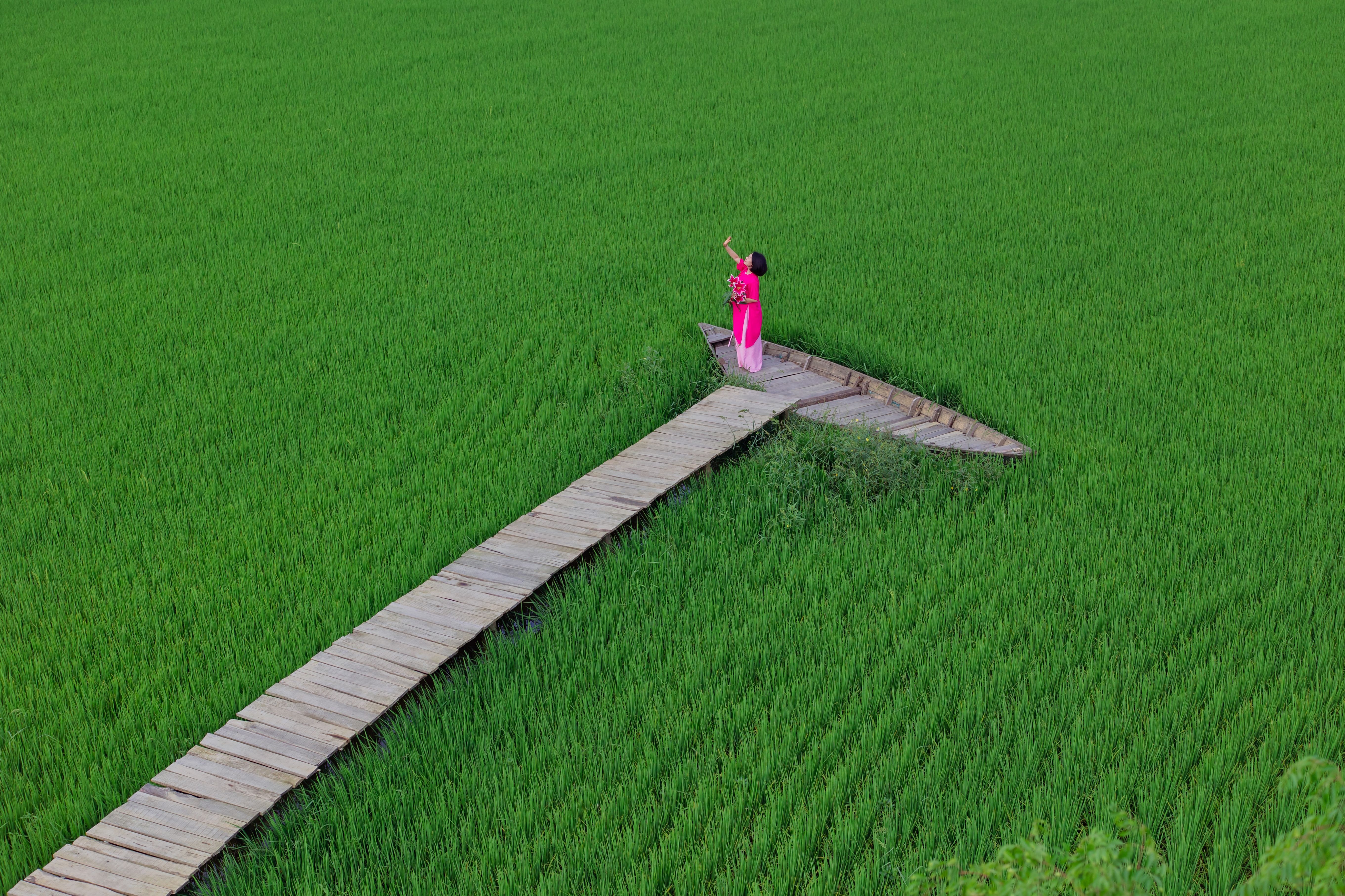 Woman in Pink Dress Taking Selfie in Rice Field · Free Stock Photo