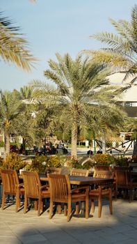 Spacious outdoor dining setup surrounded by palm trees on a sunny day.