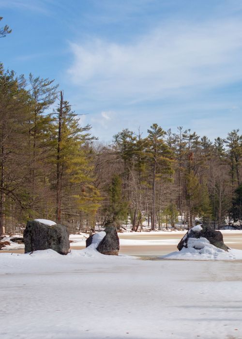 Free Scenic snowy forest landscape with melting snow and clear blue sky. Stock Photo