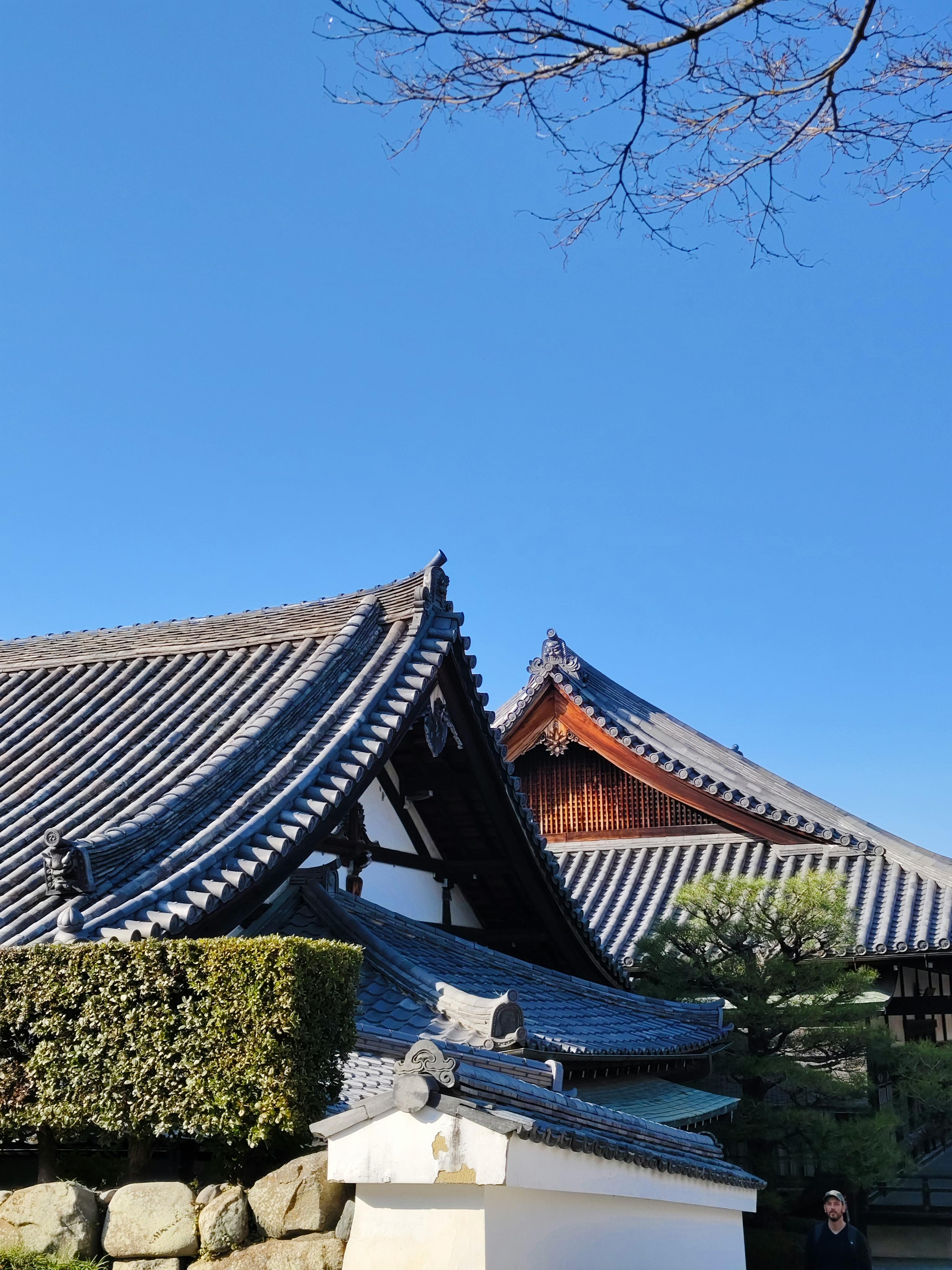 무료 맑고 푸른 하늘 아래, 정교한 디테일이 돋보이는 아름다운 일본 전통 사찰 지붕들이 보인다. 스톡 사진