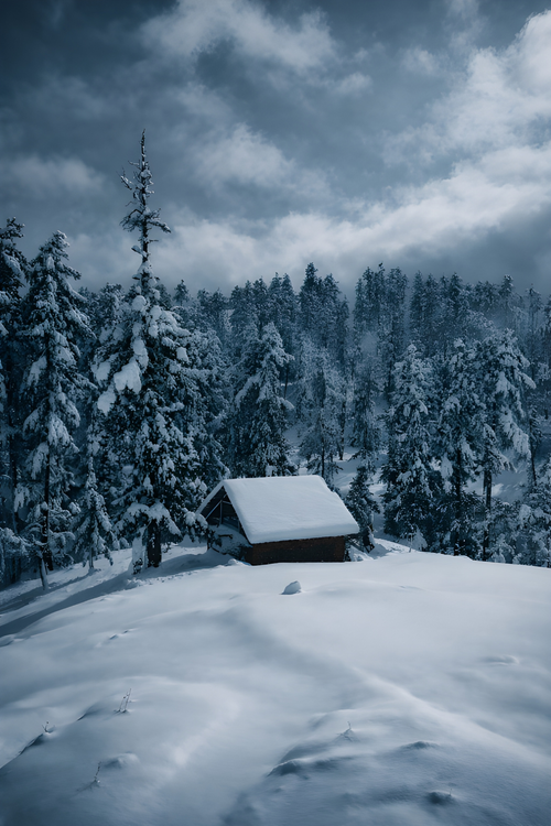 Free Serene winter scene with cabin in snow-covered forest at dusk. Stock Photo