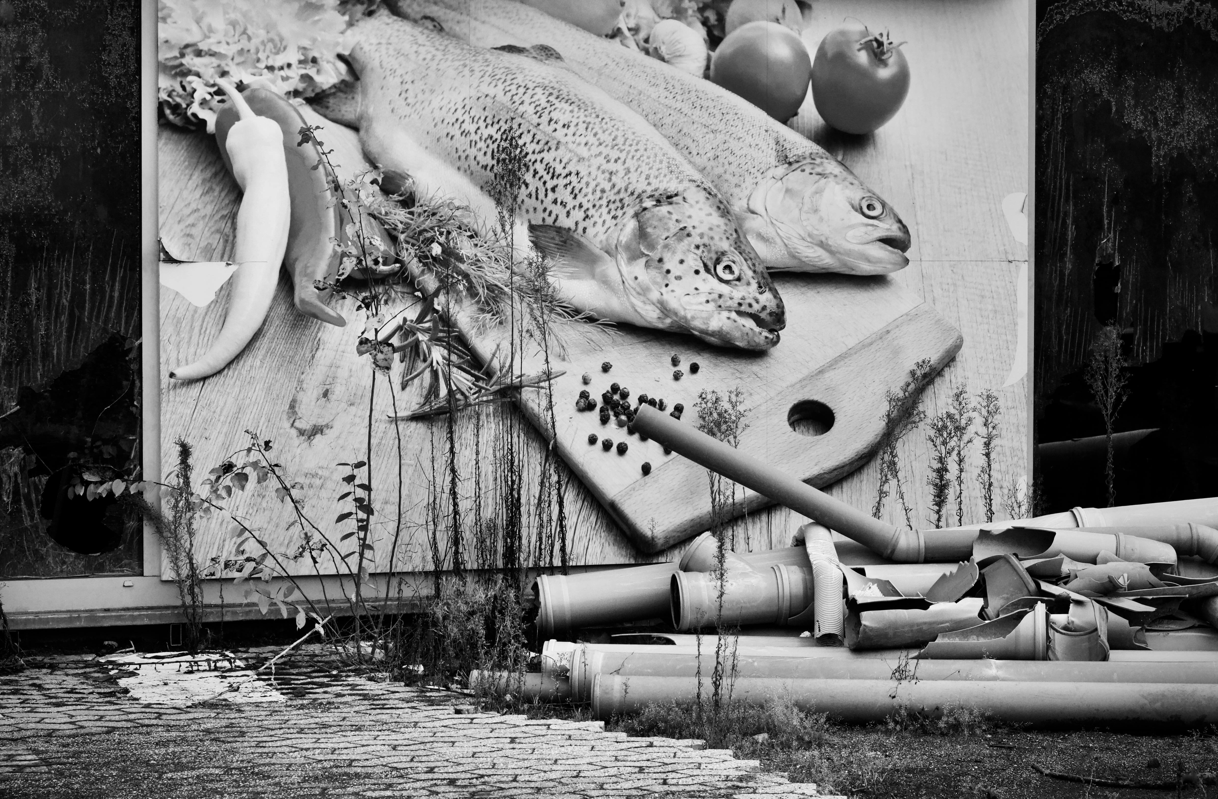 Cutting Boards: The Honest Material Breakdown I Wish Someone Had Told Me Sooner