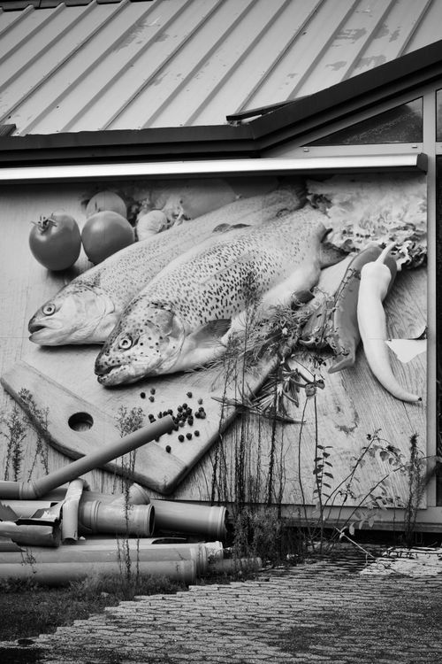 Free Monochrome photo of a fish and vegetable mural on a building exterior. Stock Photo
