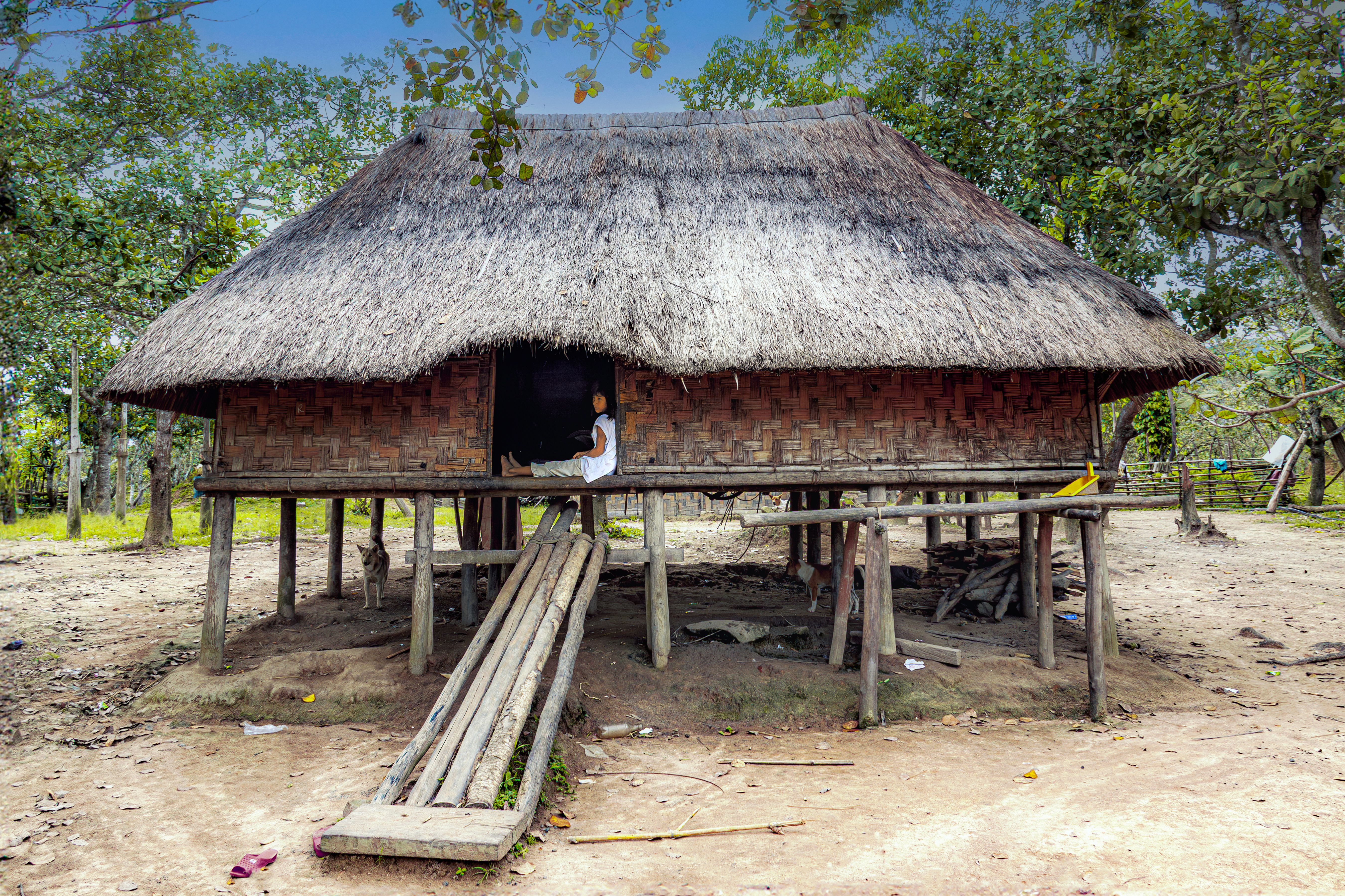 Traditional Vietnamese Stilt House in Rural Setting · Free Stock Photo