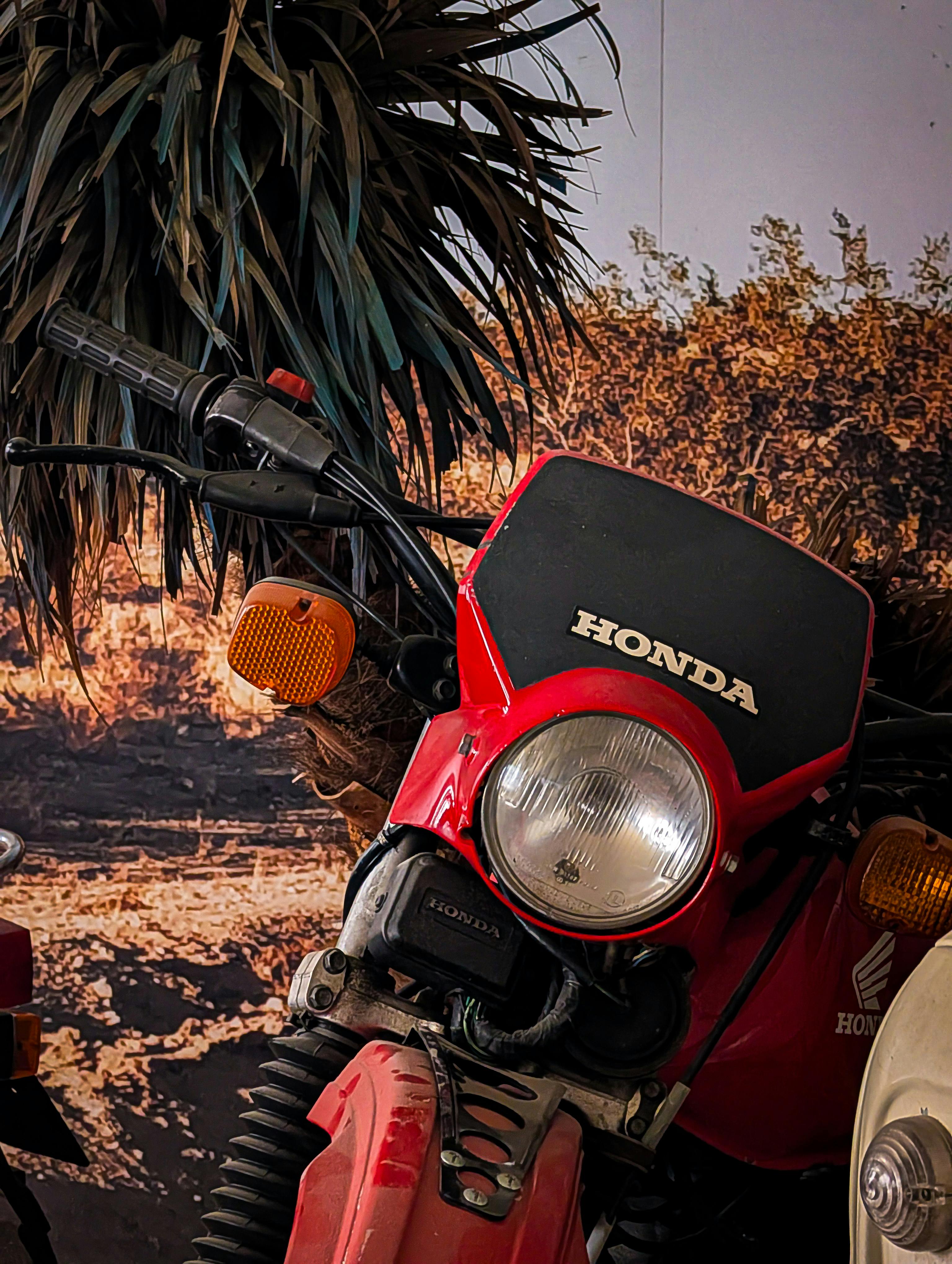Honda motorcycle for sale in Herceg Novi