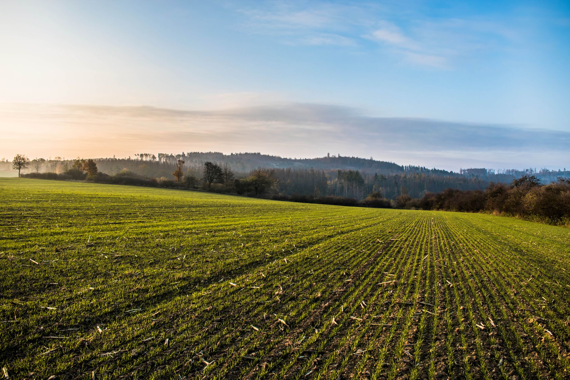 farming and agribusiness trends to watch this year