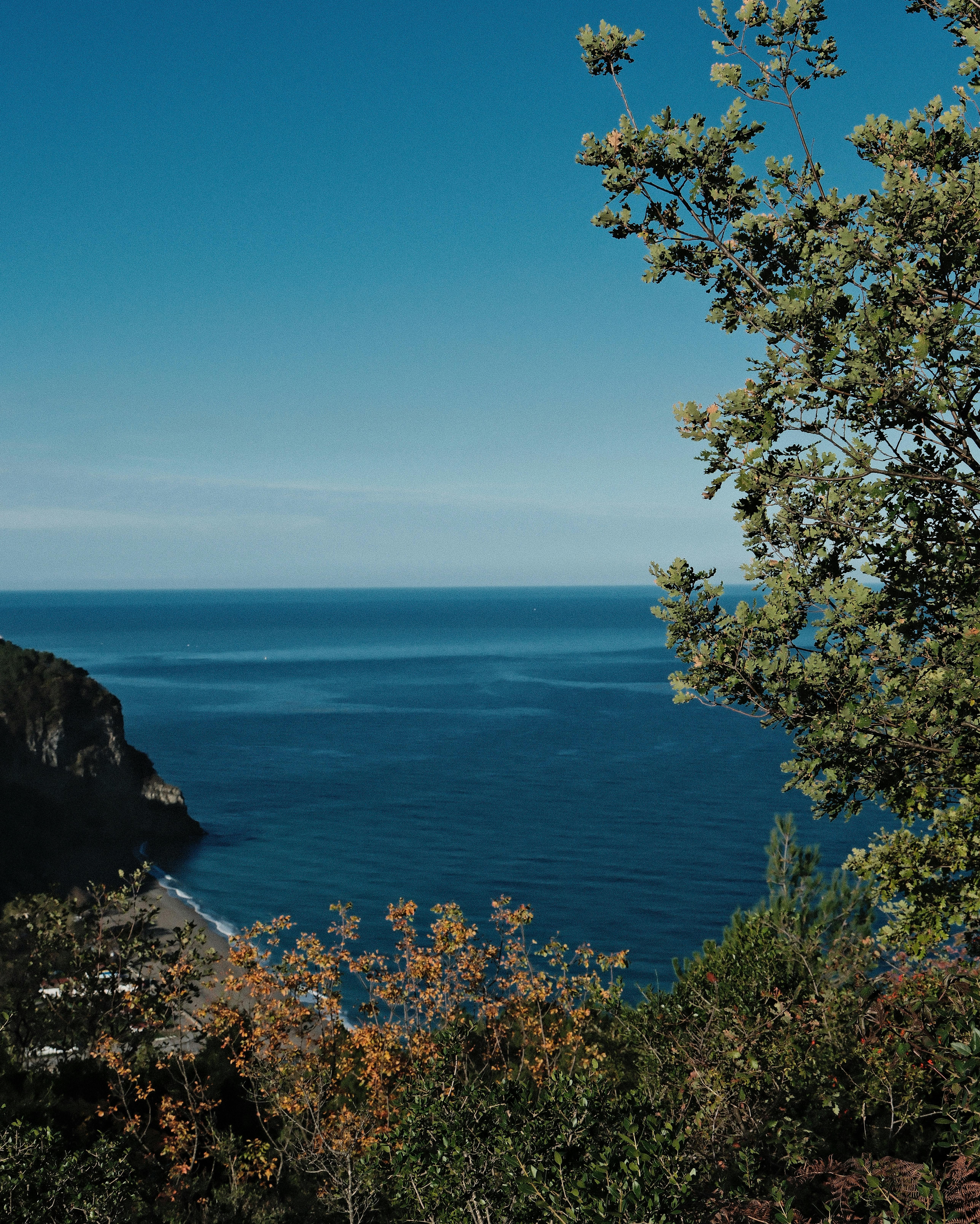 Безкоштовне стокове фото на тему «Vista, x-t5, x-t5 версія 4 31» стокове фото