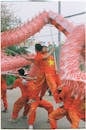 Vibrant Dragon Dance Celebration in Vietnam
