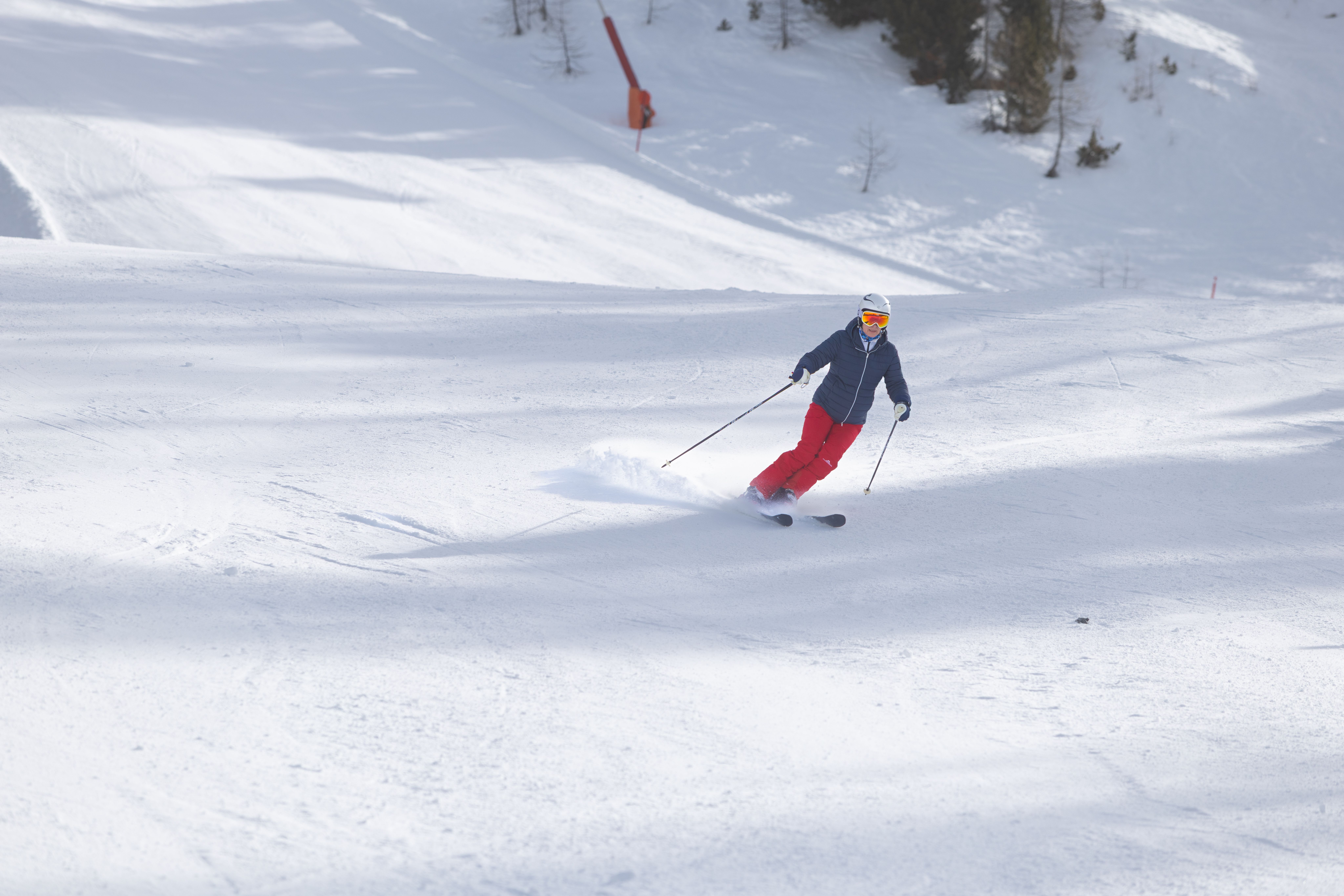 Moniteur de ski, Moniteur de ski en France