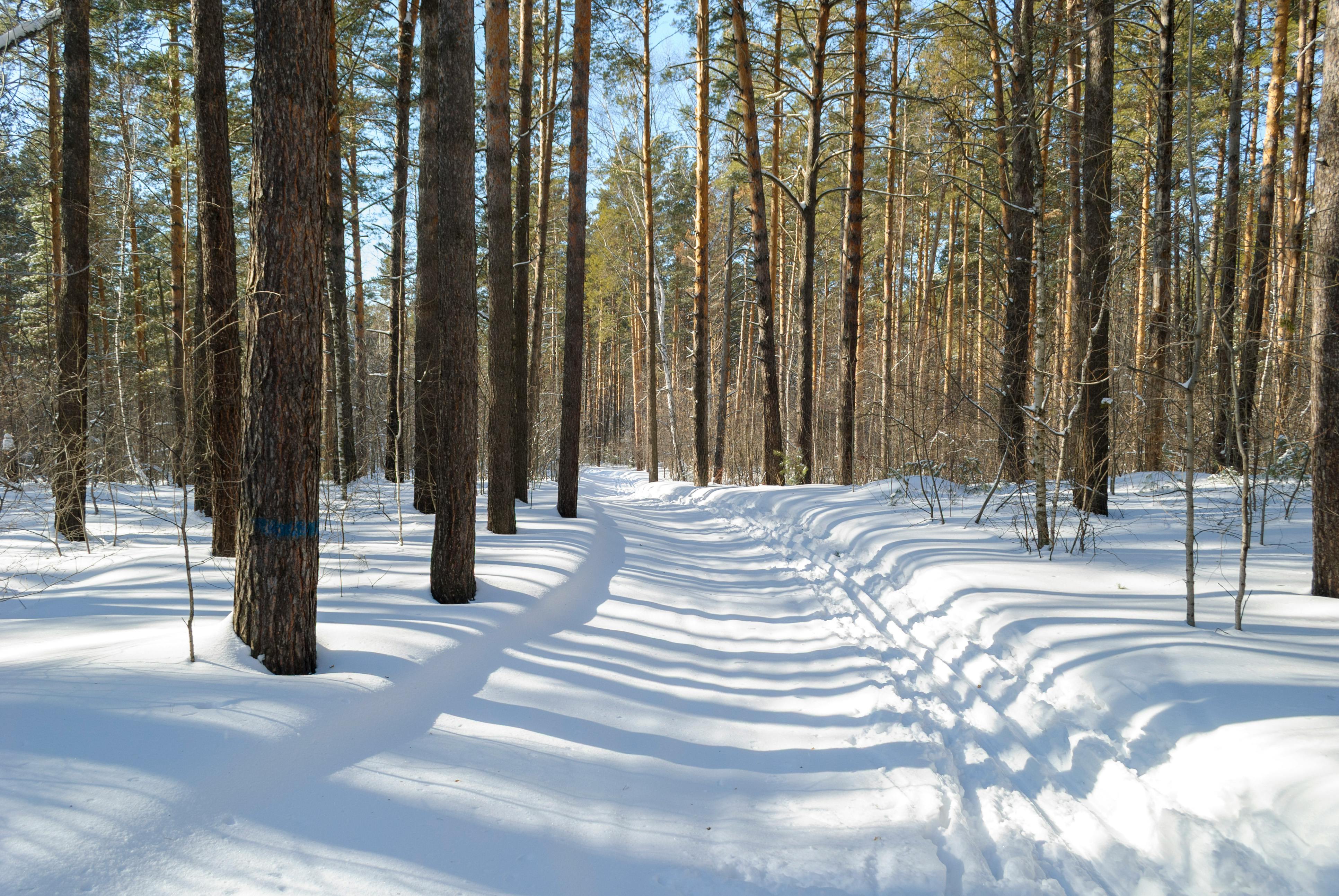 Selling in Winter? Why Late-Year Listings Can Still Pay Off — Photo by Mikhail Peace on Pexels