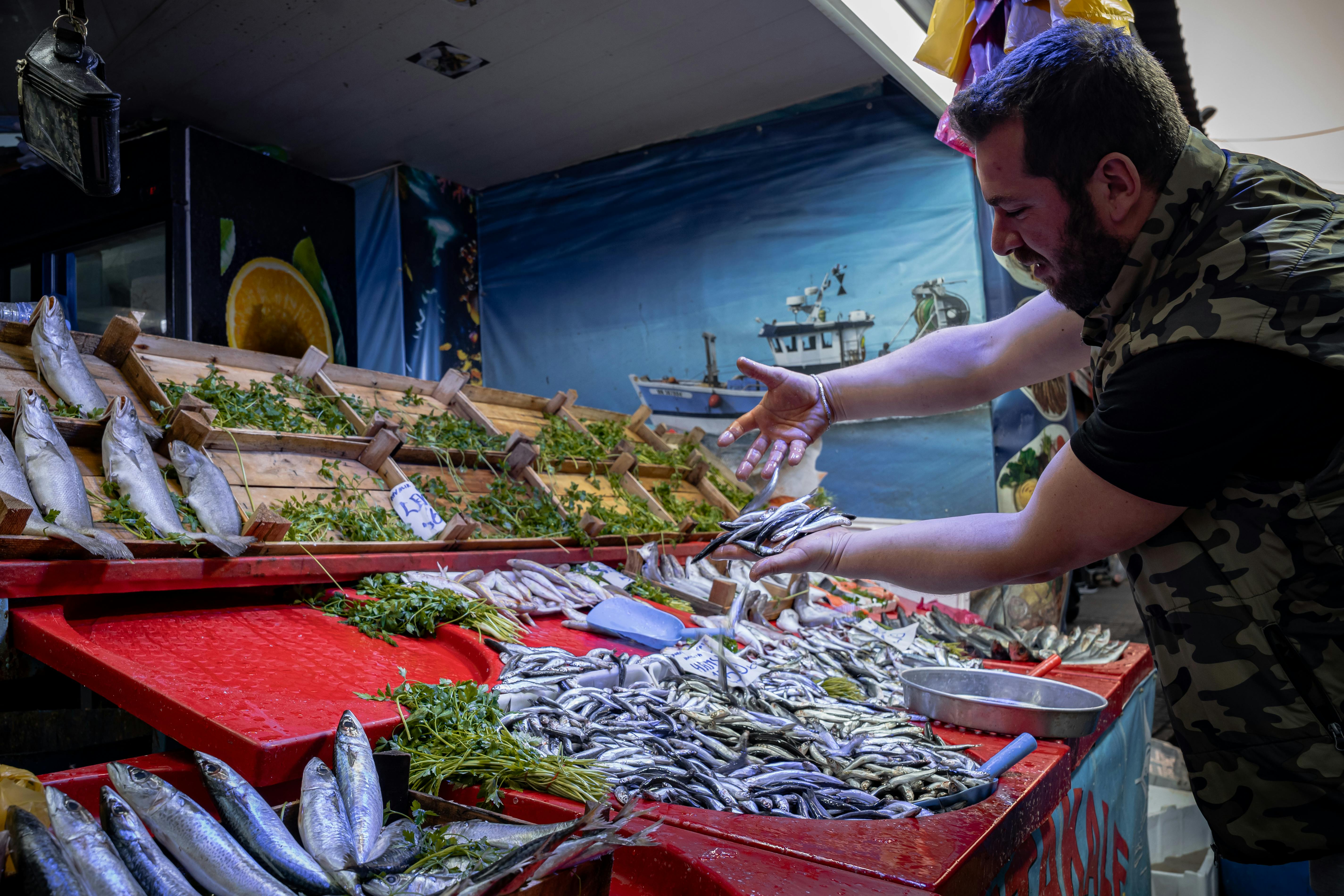 Mirissa fish market early morning with fresh catch on ice