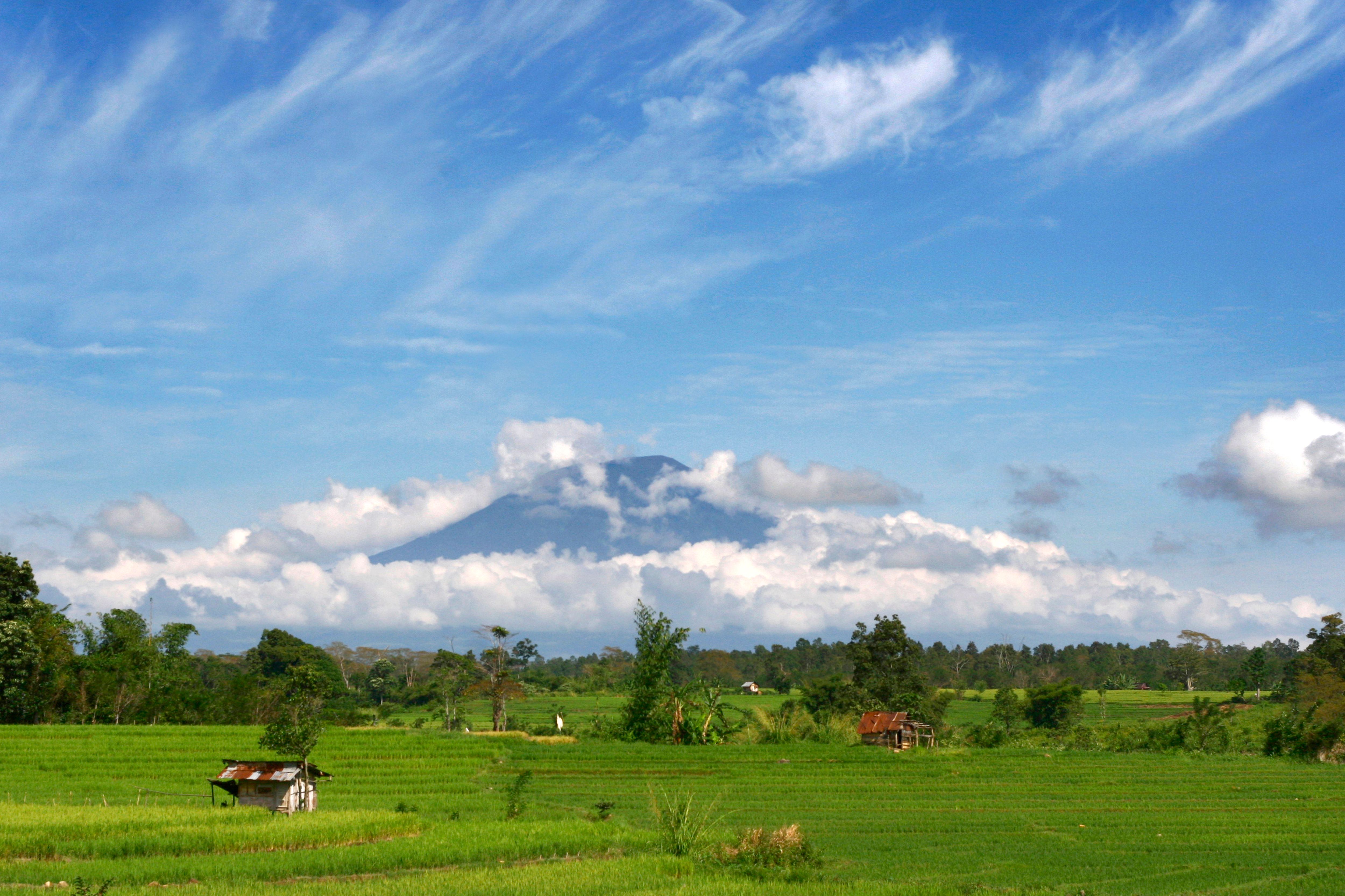 Sawah hijau dan gunung di bawah langit biru di Bali
