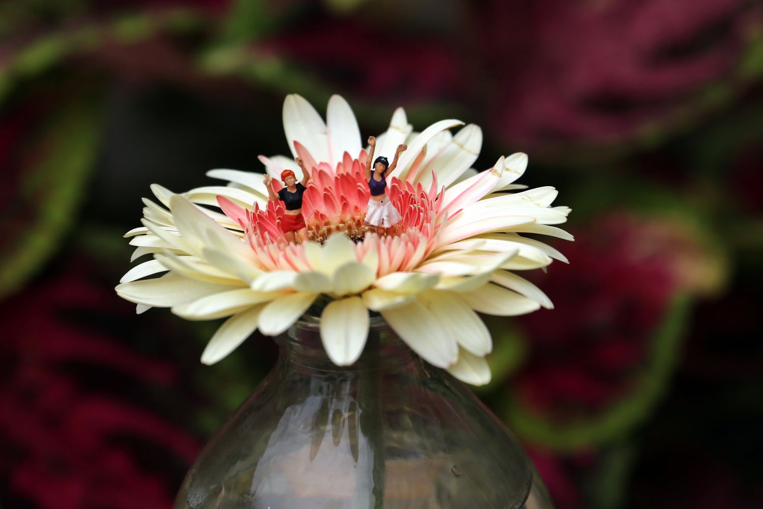 Miniature Flowers Photos, Download The BEST Free Miniature Flowers ...