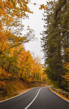 Beautiful autumn scenery with colorful trees along a winding road in Kardzhali, Bulgaria.