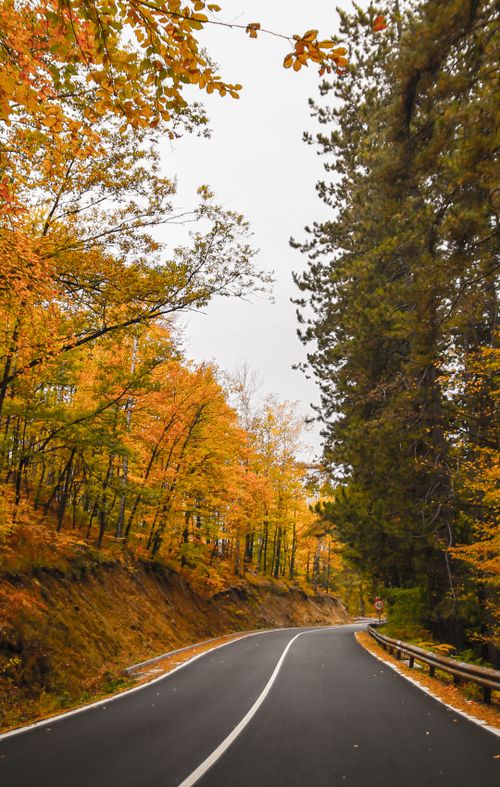 Free Beautiful autumn scenery with colorful trees along a winding road in Kardzhali, Bulgaria. Stock Photo