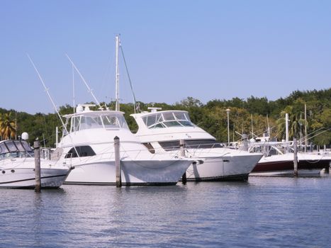 Luxury yachts docked at a marina in Miami, Florida under a clear blue sky.