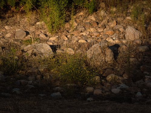 Free stock photo of boulders, nature, rocks Stock Photo