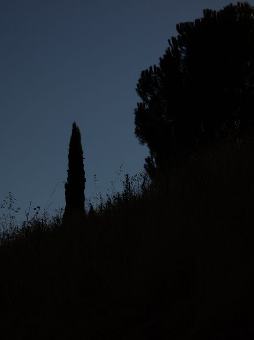 Free stock photo of black, dark, landscape Stock Photo