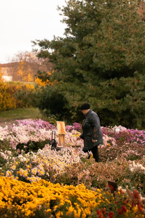 Free Senior painting in colorful garden during fall, surrounded by vibrant flowers. Stock Photo